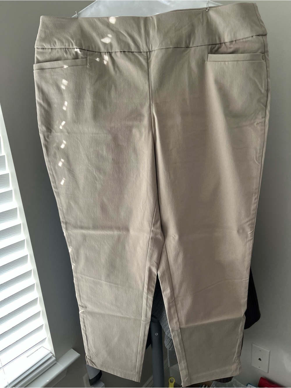Woman’s tan ankle pants